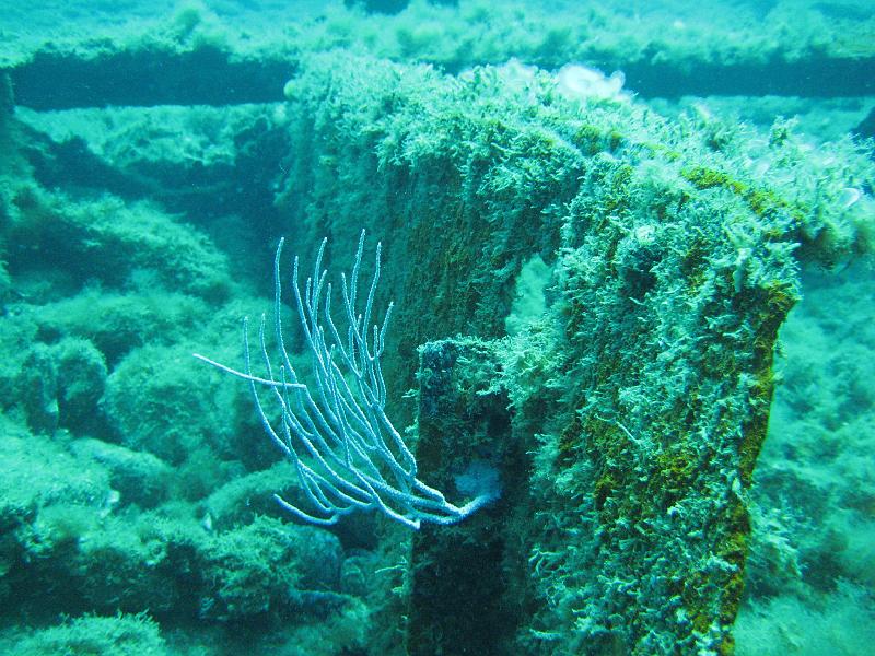 2009-09-11 13-03-34S.JPG